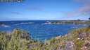 ./images/calvert/foggy-cove/20260925/foggy-cove20260925_130001M.jpg