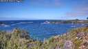 ./images/calvert/foggy-cove/20260925/foggy-cove20260925_130501M.jpg