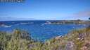 ./images/calvert/foggy-cove/20260925/foggy-cove20260925_131002M.jpg