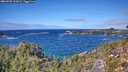 ./images/calvert/foggy-cove/20260925/foggy-cove20260925_132002M.jpg