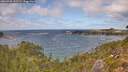 ./images/calvert/foggy-cove/20260925/foggy-cove20260925_141502M.jpg