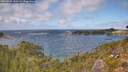 ./images/calvert/foggy-cove/20260925/foggy-cove20260925_142502M.jpg