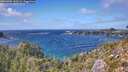 ./images/calvert/foggy-cove/20260925/foggy-cove20260925_145501M.jpg