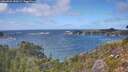 ./images/calvert/foggy-cove/20260925/foggy-cove20260925_150501M.jpg