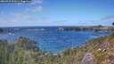 ./images/calvert/foggy-cove/20260925/foggy-cove20260925_151001M.jpg