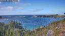 ./images/calvert/foggy-cove/20260925/foggy-cove20260925_151501M.jpg