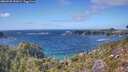 ./images/calvert/foggy-cove/20260925/foggy-cove20260925_152001M.jpg