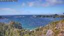./images/calvert/foggy-cove/20260925/foggy-cove20260925_152502M.jpg