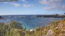 ./images/calvert/foggy-cove/20260925/foggy-cove20260925_162001M.jpg