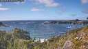 ./images/calvert/foggy-cove/20260925/foggy-cove20260925_162501M.jpg