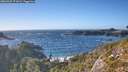 ./images/calvert/foggy-cove/20260925/foggy-cove20260925_171001M.jpg