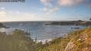./images/calvert/foggy-cove/20260925/foggy-cove20260925_180501M.jpg