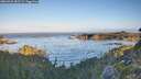 ./images/calvert/foggy-cove/20260926/foggy-cove20260926_082501M.jpg