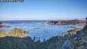 ./images/calvert/foggy-cove/20260926/foggy-cove20260926_085001M.jpg