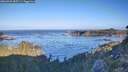 ./images/calvert/foggy-cove/20260926/foggy-cove20260926_085501M.jpg