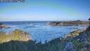 ./images/calvert/foggy-cove/20260926/foggy-cove20260926_090501M.jpg