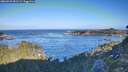 ./images/calvert/foggy-cove/20260926/foggy-cove20260926_091501M.jpg