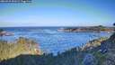 ./images/calvert/foggy-cove/20260926/foggy-cove20260926_092001M.jpg