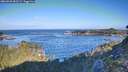 ./images/calvert/foggy-cove/20260926/foggy-cove20260926_092502M.jpg