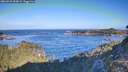 ./images/calvert/foggy-cove/20260926/foggy-cove20260926_093001M.jpg