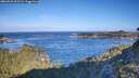 ./images/calvert/foggy-cove/20260926/foggy-cove20260926_093501M.jpg