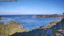 ./images/calvert/foggy-cove/20260926/foggy-cove20260926_094001M.jpg