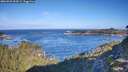 ./images/calvert/foggy-cove/20260926/foggy-cove20260926_094501M.jpg