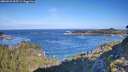 ./images/calvert/foggy-cove/20260926/foggy-cove20260926_095501M.jpg