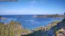 ./images/calvert/foggy-cove/20260926/foggy-cove20260926_100502M.jpg