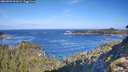 ./images/calvert/foggy-cove/20260926/foggy-cove20260926_101001M.jpg