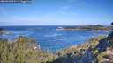 ./images/calvert/foggy-cove/20260926/foggy-cove20260926_101501M.jpg