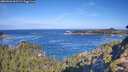 ./images/calvert/foggy-cove/20260926/foggy-cove20260926_102501M.jpg