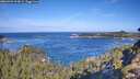 ./images/calvert/foggy-cove/20260926/foggy-cove20260926_103001M.jpg