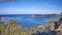 ./images/calvert/foggy-cove/20260926/foggy-cove20260926_103502M.jpg