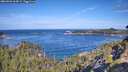 ./images/calvert/foggy-cove/20260926/foggy-cove20260926_104502M.jpg