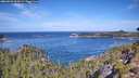 ./images/calvert/foggy-cove/20260926/foggy-cove20260926_111001M.jpg