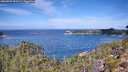 ./images/calvert/foggy-cove/20260926/foggy-cove20260926_113501M.jpg