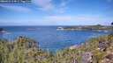 ./images/calvert/foggy-cove/20260926/foggy-cove20260926_114001M.jpg