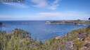 ./images/calvert/foggy-cove/20260926/foggy-cove20260926_114501M.jpg