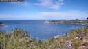 ./images/calvert/foggy-cove/20260926/foggy-cove20260926_115001M.jpg