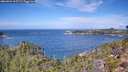 ./images/calvert/foggy-cove/20260926/foggy-cove20260926_115501M.jpg