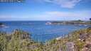 ./images/calvert/foggy-cove/20260926/foggy-cove20260926_120002M.jpg