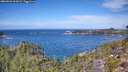./images/calvert/foggy-cove/20260926/foggy-cove20260926_121001M.jpg