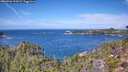 ./images/calvert/foggy-cove/20260926/foggy-cove20260926_122001M.jpg