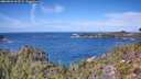 ./images/calvert/foggy-cove/20260926/foggy-cove20260926_123501M.jpg