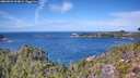 ./images/calvert/foggy-cove/20260926/foggy-cove20260926_124001M.jpg