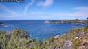 ./images/calvert/foggy-cove/20260926/foggy-cove20260926_124502M.jpg