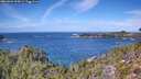 ./images/calvert/foggy-cove/20260926/foggy-cove20260926_125001M.jpg