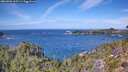./images/calvert/foggy-cove/20260926/foggy-cove20260926_125501M.jpg
