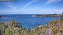 ./images/calvert/foggy-cove/20260926/foggy-cove20260926_130001M.jpg